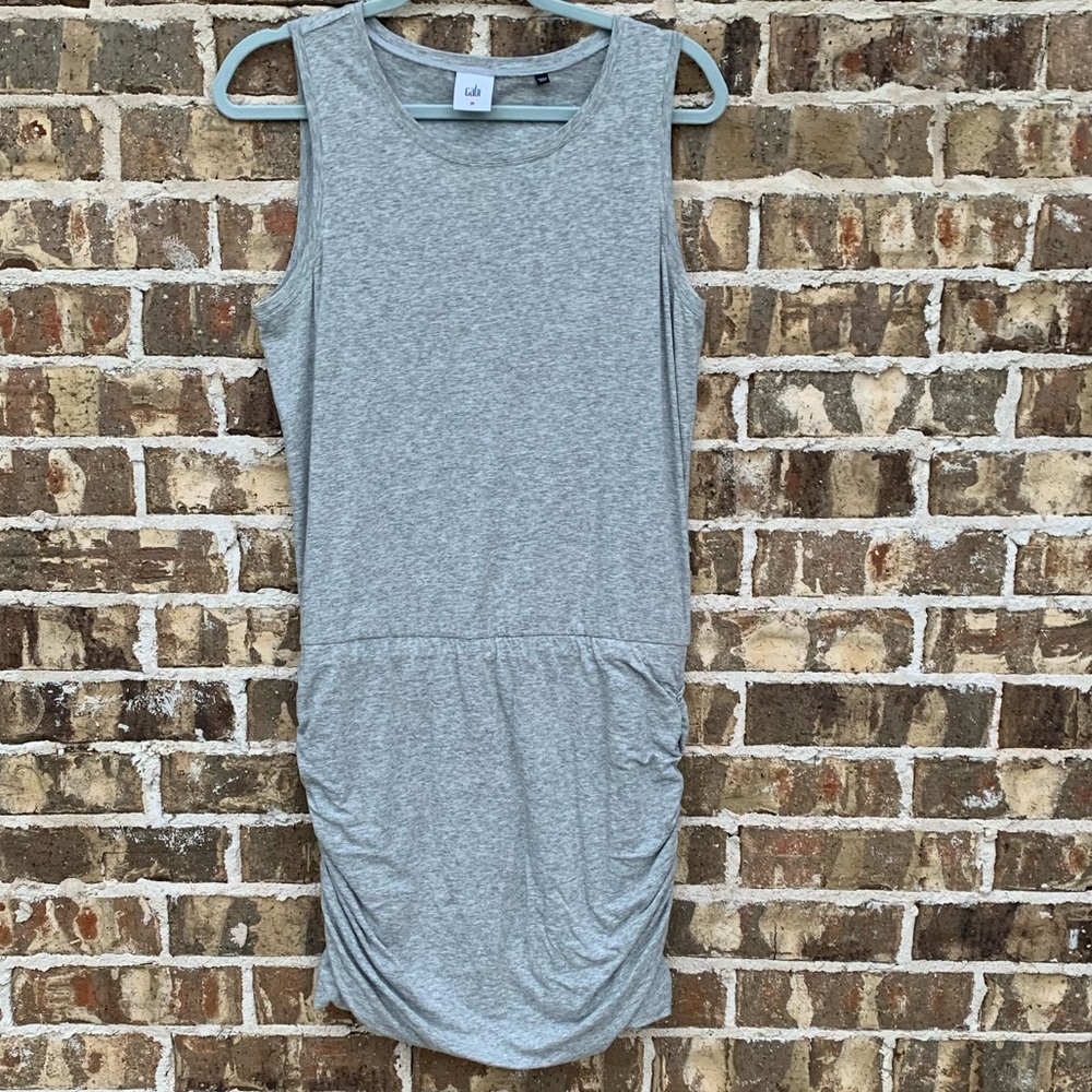 CAbi Everyday Dress